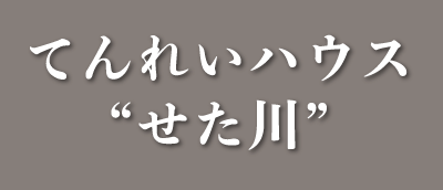 てんれいホール せた川